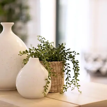 Vayadu' Arabesque 招待所 阿拉西奥